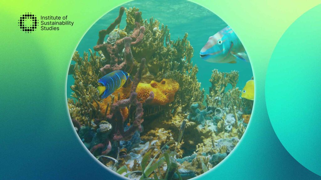 Blue Economy ocean ecosystem