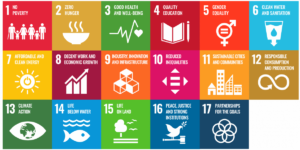 UN SDGs