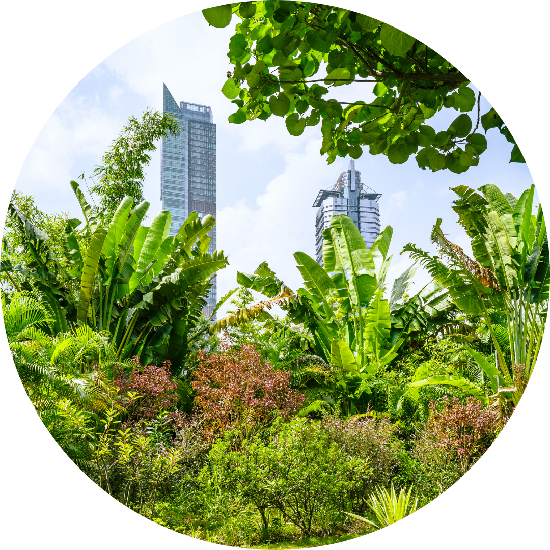 business with biodiversity course cover