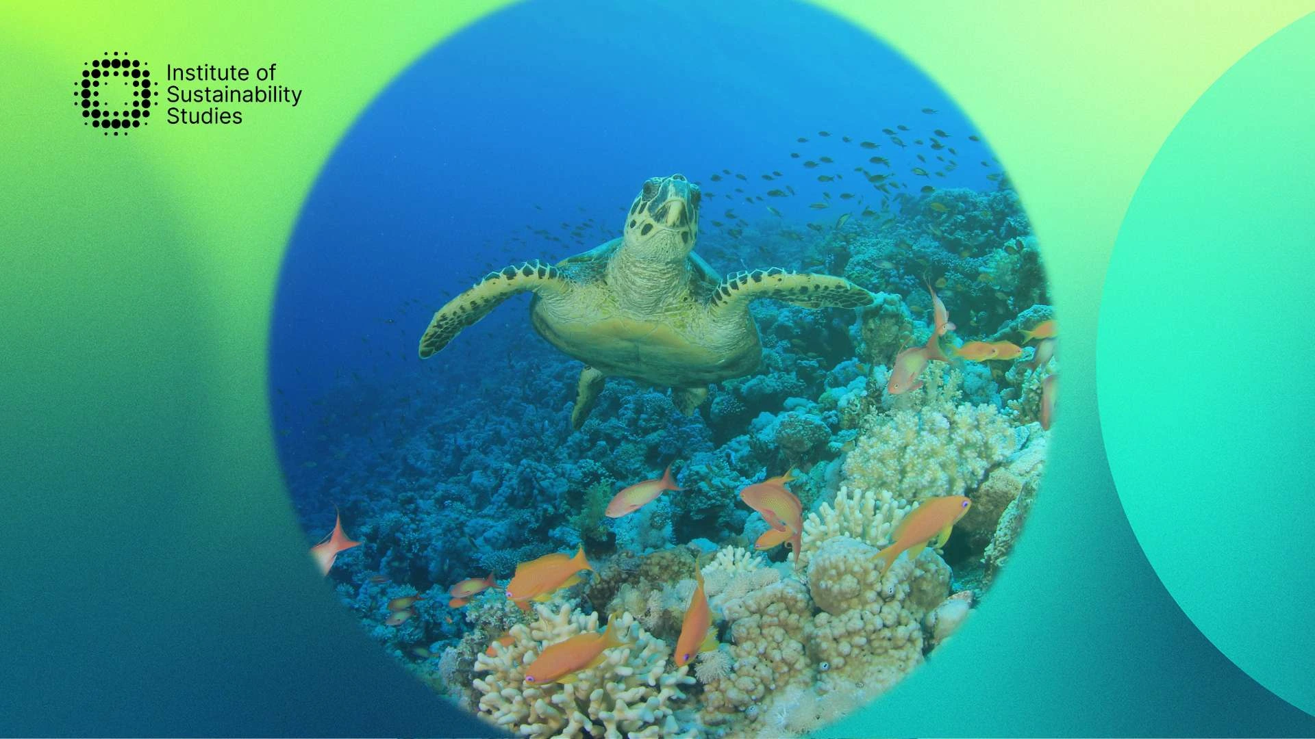 Convention on Biological Diversity