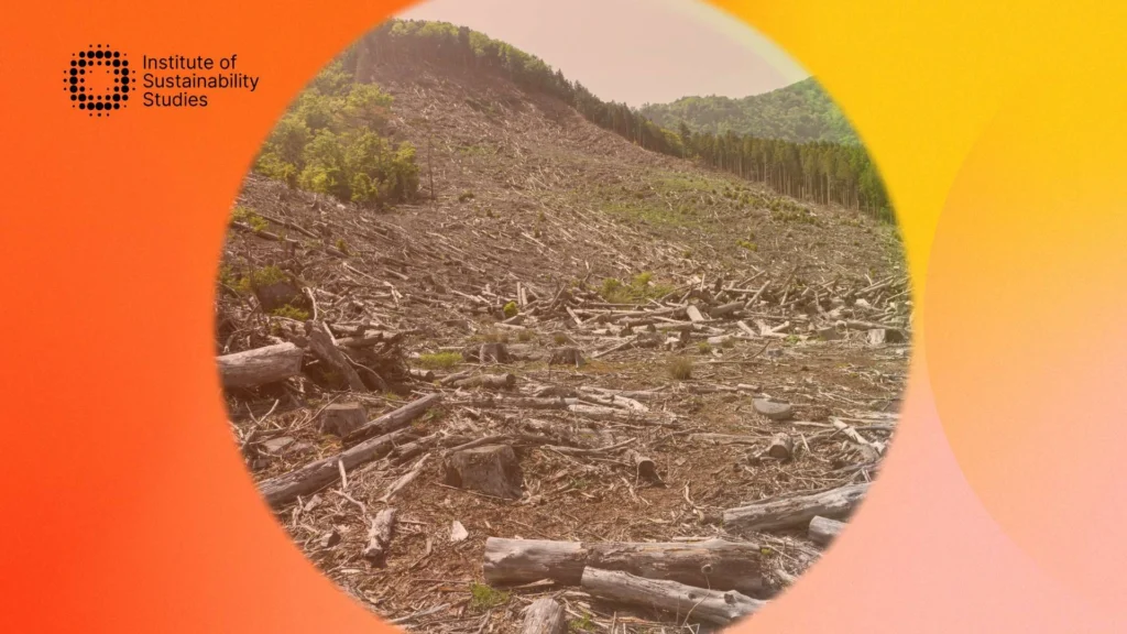 EU Deforestation Law